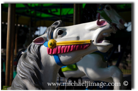 "wild horses"
-agricultural fair-